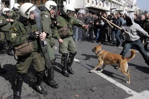 griekenlandhond