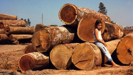 brasil_mato-grosso_3161007812_b32f8317e6
