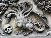 hydra