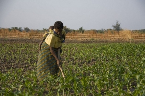 afrika_landbouw