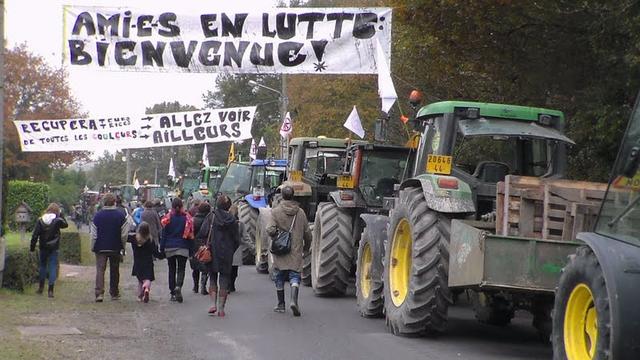 zad-17-11-tractors