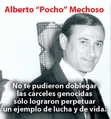 pocho